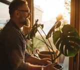 Resistant and easy to care for plants: find out what they are!